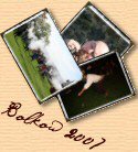 Bolk�w 2007