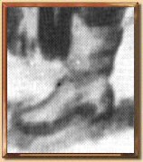 Buty hajduka na rycinie